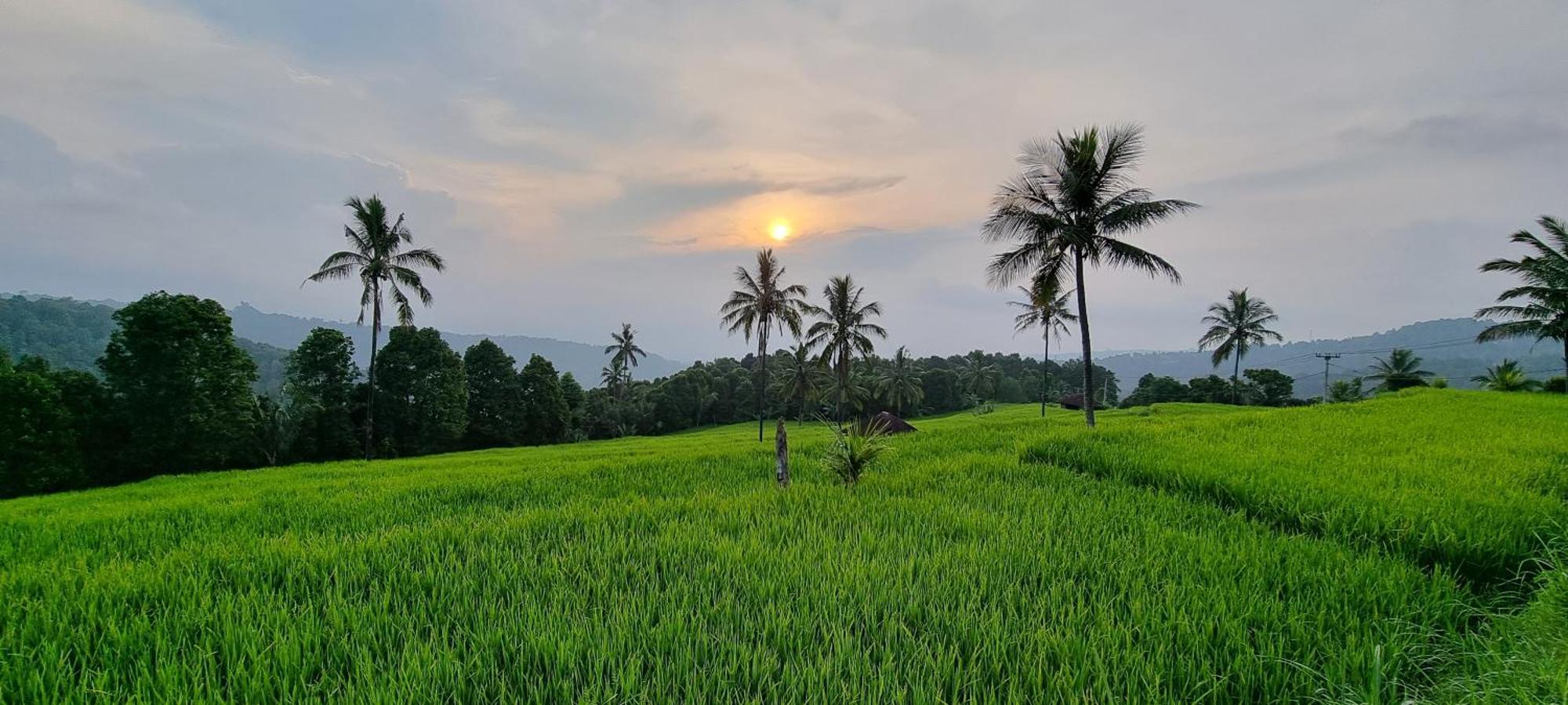 Utopiaku - Munduk Highlands Vila Exterior foto