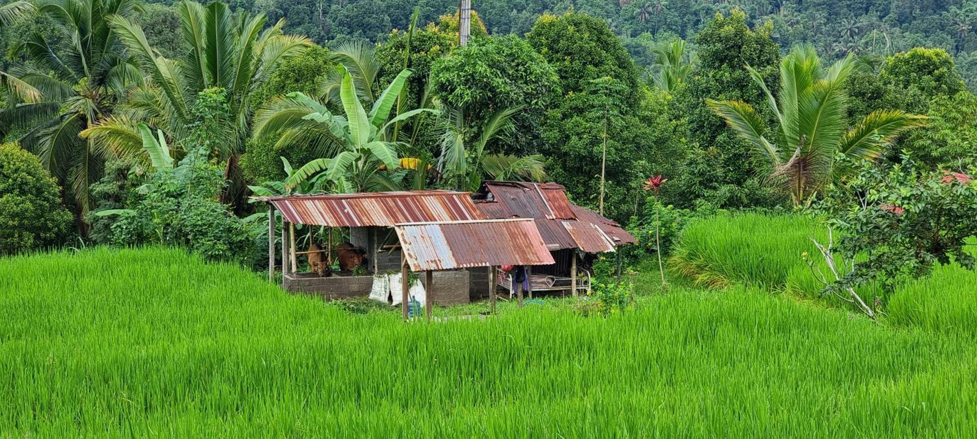 Utopiaku - Munduk Highlands Vila Exterior foto