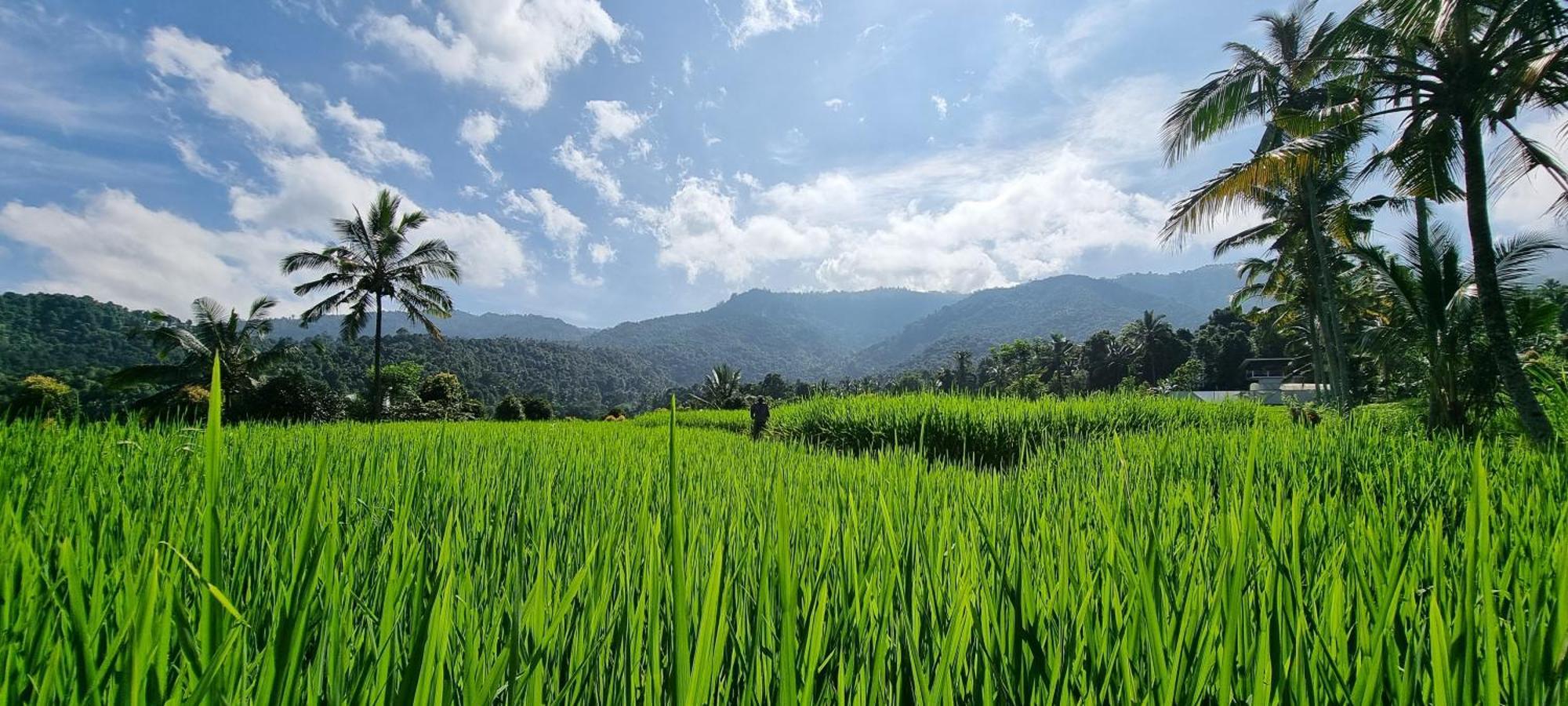 Utopiaku - Munduk Highlands Vila Exterior foto