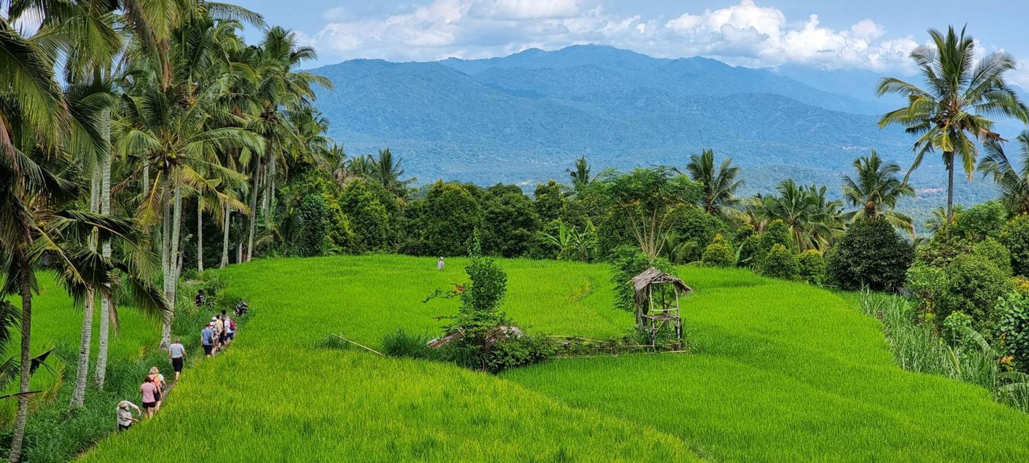 Utopiaku - Munduk Highlands Vila Exterior foto