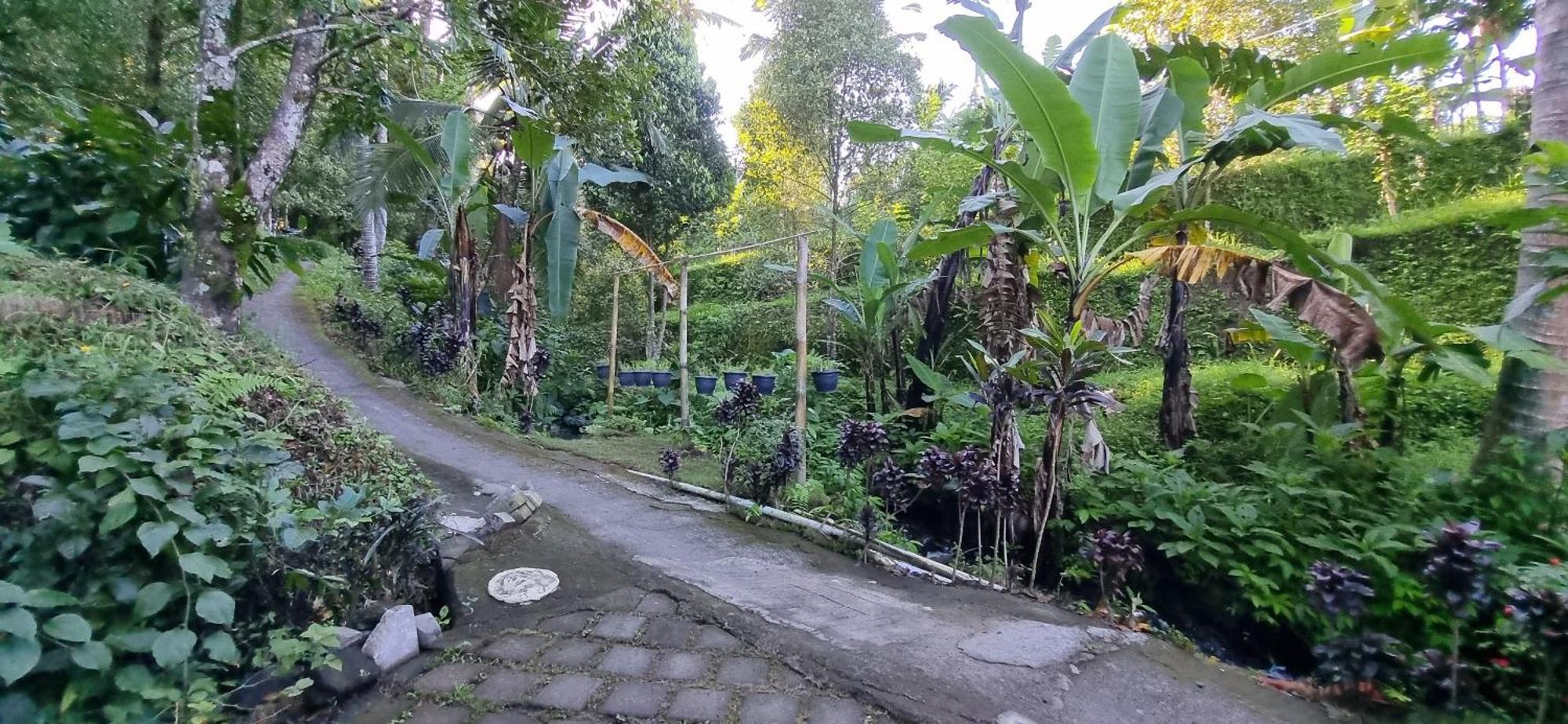 Utopiaku - Munduk Highlands Vila Exterior foto