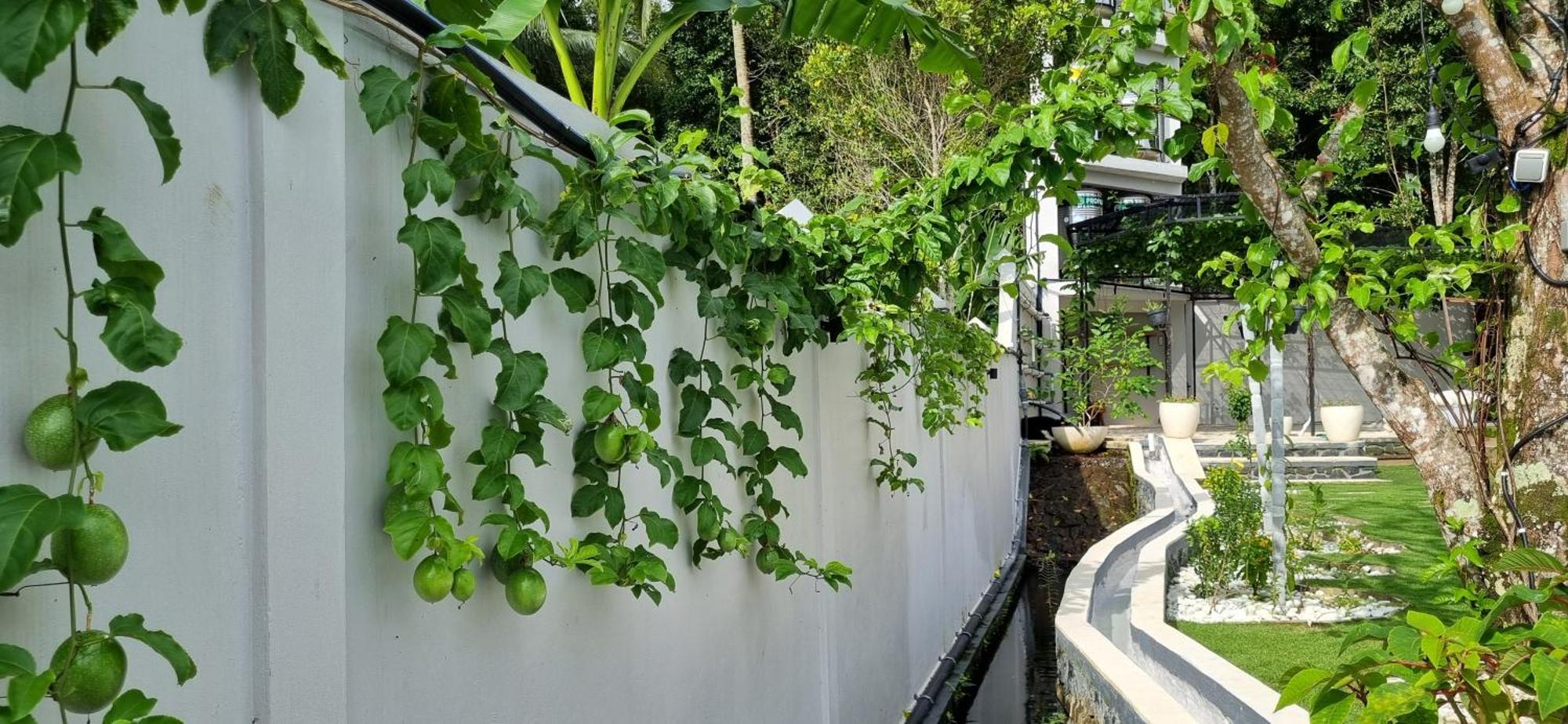 Utopiaku - Munduk Highlands Vila Exterior foto